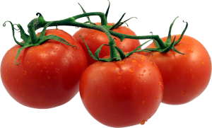 Tomatoes PNG-12589